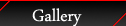 VIP Gallery
