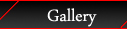 VIP Gallery