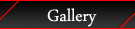 VIP Gallery
