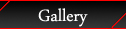 VIP Gallery