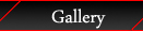 VIP Gallery